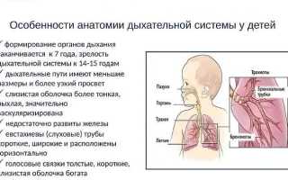 Почему тяжелое дыхание у ребенка — что делать в такой ситуации