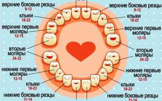 Во сколько месяцев у ребенка начинают резаться зубы: важная информация для родителей