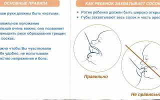 До какого возраста кормить ребенка грудным молоком для здоровья