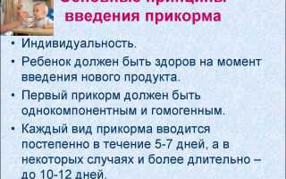 Прикорм в 7 месяцев при грудном и искусственном вскармливании: советы и рекомендации