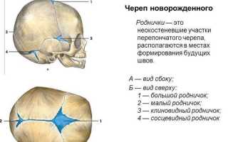 Родничок у новорожденных: важные аспекты и советы