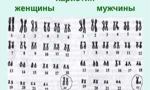 От чего зависит пол ребенка у человека при зачатии: факторы и влияние