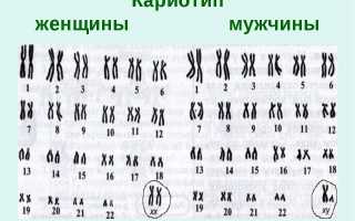 От чего зависит пол ребенка у человека при зачатии: факторы и влияние