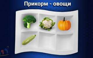 Что можно давать ребенку в 3 месяца кушать и пить для здоровья