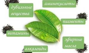 С какого возраста можно давать ребенку чай для здоровья?