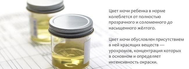 Нормальный цвет мочи