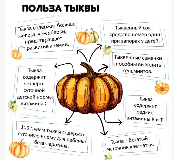 Полезные свойства тыквы