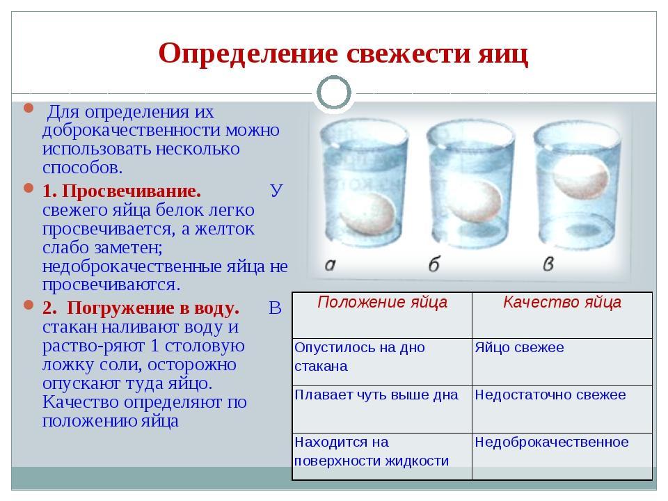 Проверка яйца на свежесть