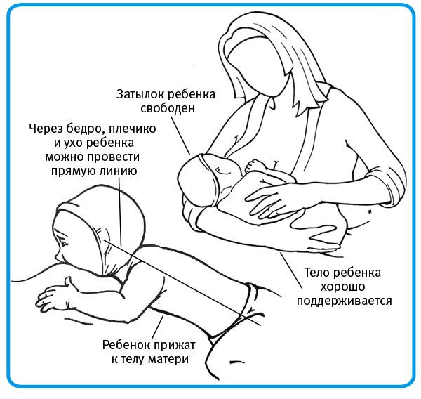 Правильное расположение ребенка