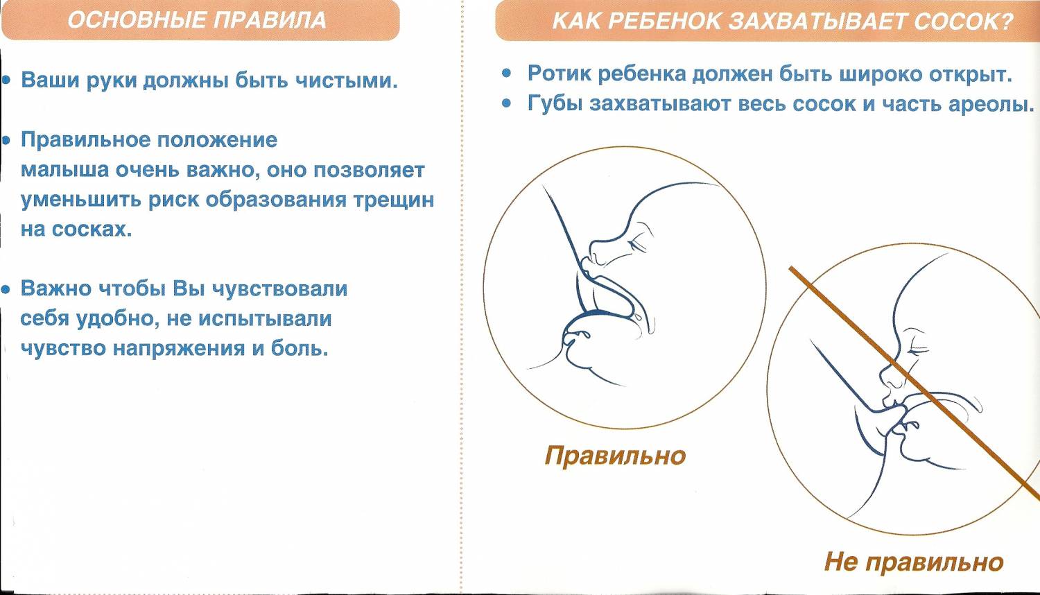Правила захвата соска
