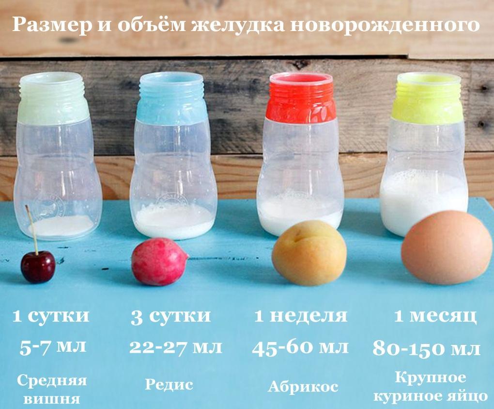 Объем и размер желудка новорожденного