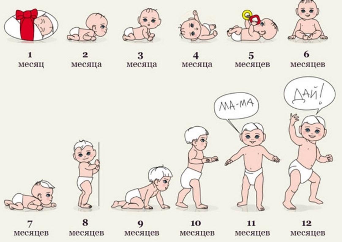 Развитие до года