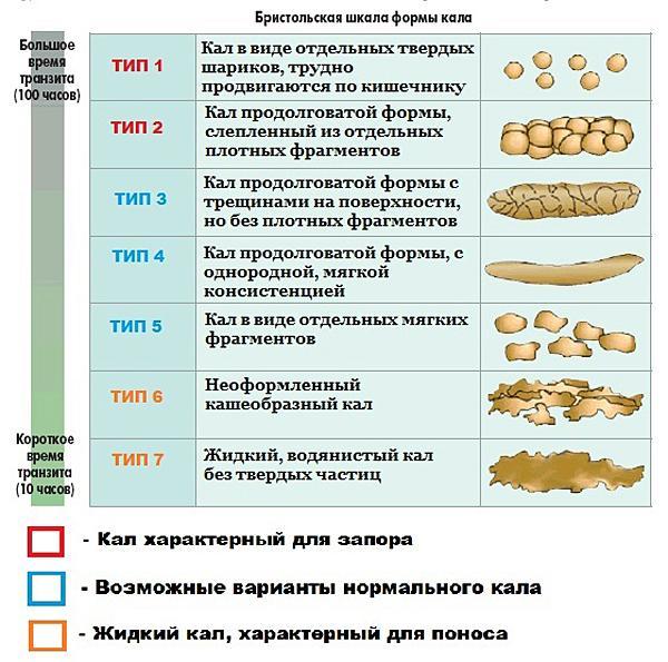 Бристольская шкала формы кала