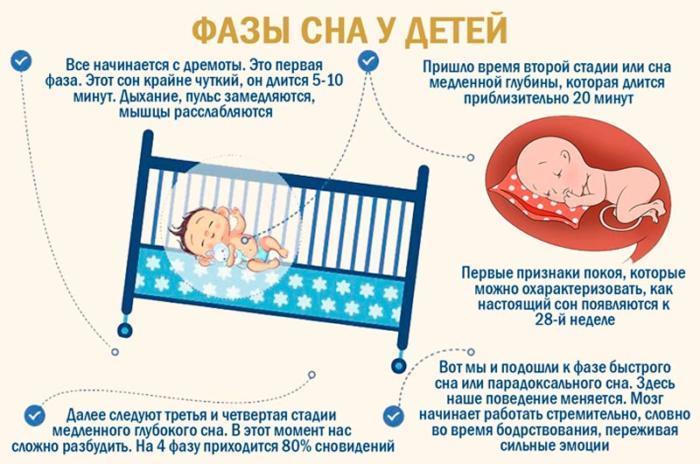 Фазы сна у младенца