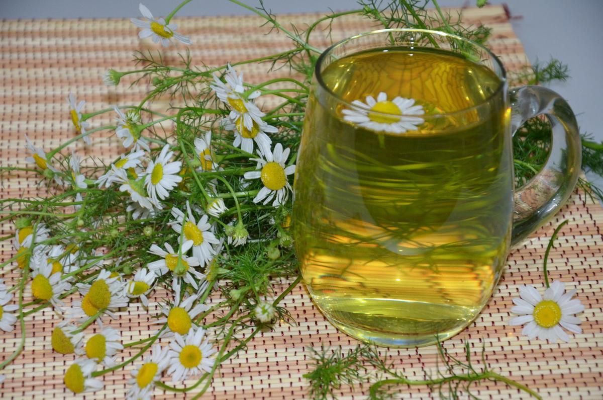  Отвар ромашки