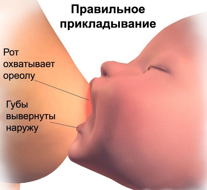 Правильное прикладывание выглядит так