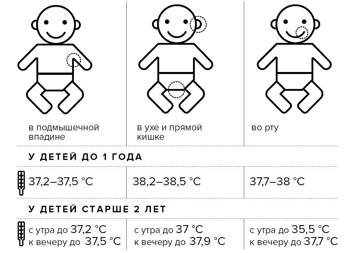 Показатели нормальной температуры и способы ее измерения