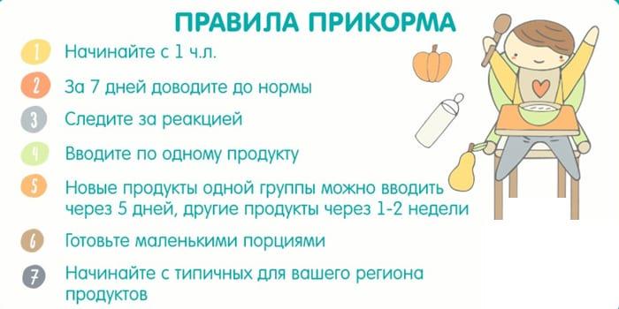 Правила введения прикорма