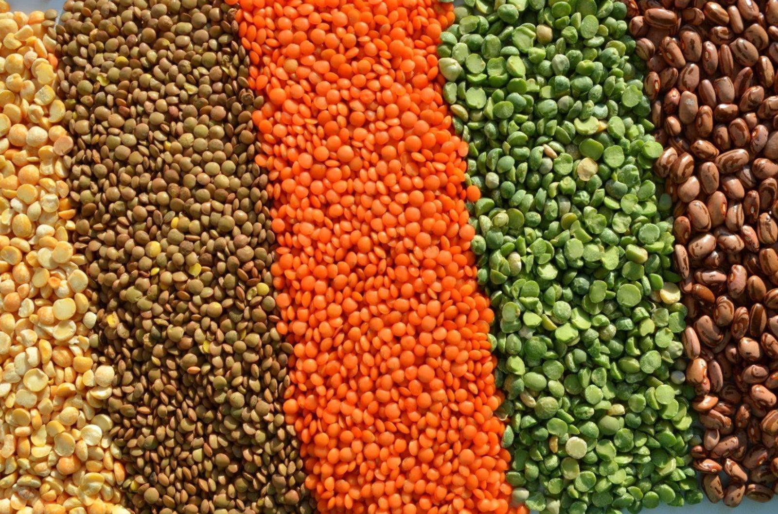 Чечевица – полезный и питательный продукт