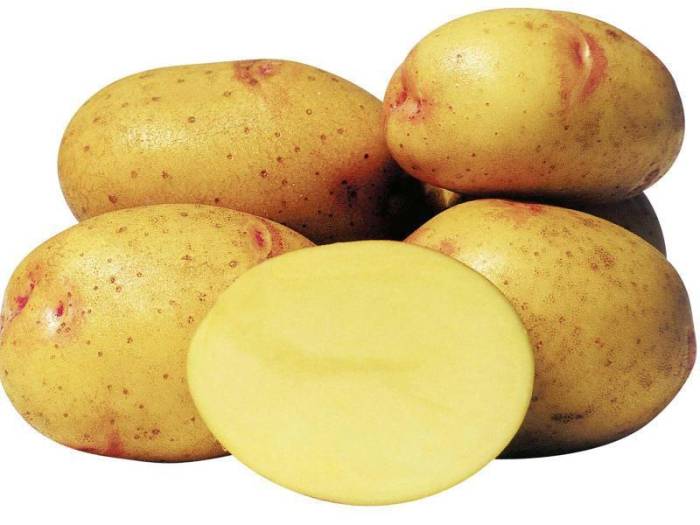 Клубни картофеля