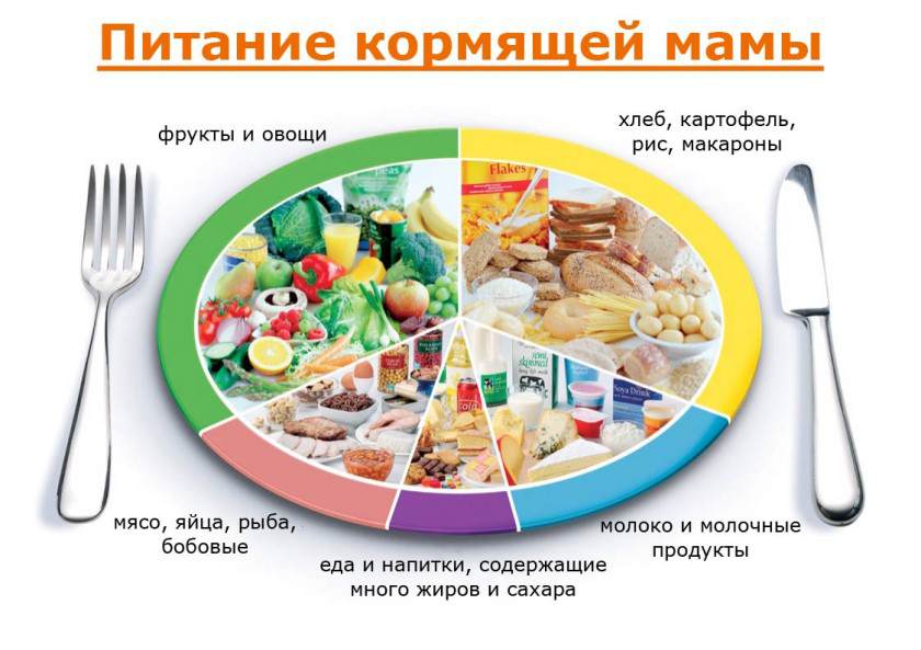 Кормящая мама не должна ограничивать себя в еде